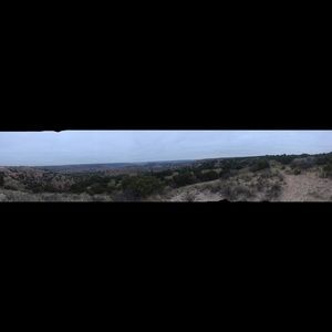 Meet your Posher, Arden